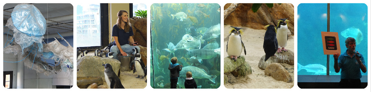 Cape Town Aquarium
